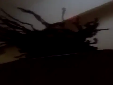 PrinceNoAlbert online show from September 11, 2025, 12:38 pm