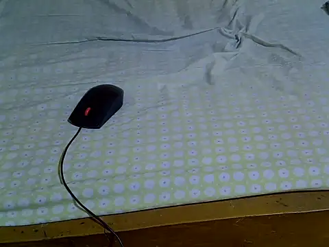 Snapshot of EbonyMina_ chatting on April 10, 2026, 1:40 pm EbonyMina online show from April 10, 2026, 1:40 pm