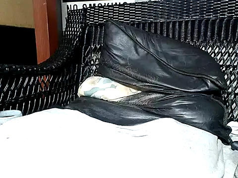 Snapshot of HungHawaiian808@xh chatting on March 7, 2025, 8:34 am HungHawaiian808xh online show from March 7, 2025, 8:34 am