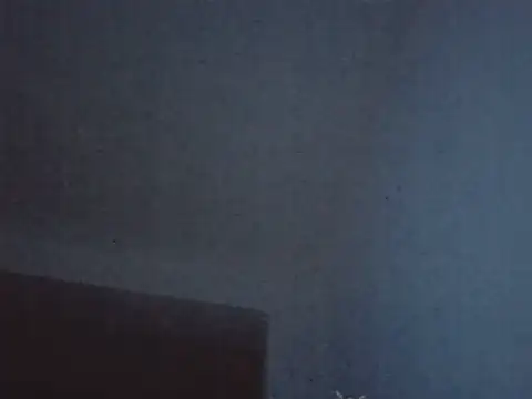 FallenDevil online show from February 6, 2026, 8:05 pm