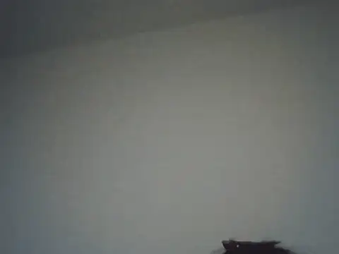 FallenDevil online show from November 16, 2025, 8:13 pm