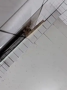 Snapshot of cindy01113520 chatting on October 2, 2025, 3:04 pm cindy01113520 online show from October 2, 2025, 3:04 pm