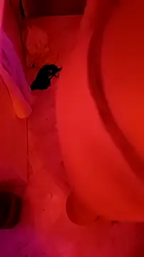 Misspadrona88 online show from January 23, 2025, 12:57 am