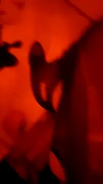 Misspadrona88 online show from March 4, 2026, 9:33 pm