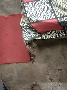 rameshmry1 online show from January 21, 2025, 1:50 am