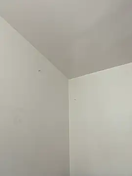 Snapshot of mochamimi chatting on March 20, 2026, 2:07 pm mochamimi online show from March 20, 2026, 2:07 pm