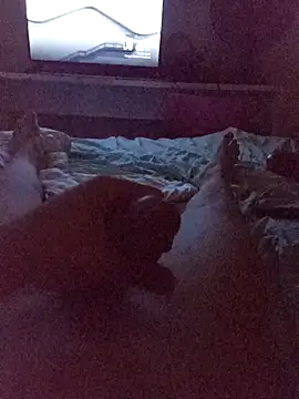 Kira-san online show from November 24, 2025, 3:17 am