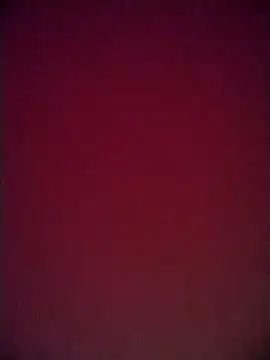 martuk online show from November 15, 2025, 2:59 am