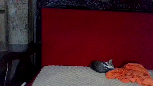 Snapshot of axomen chatting on February 16, 2025, 3:58 am axomen online show from February 16, 2025, 3:58 am