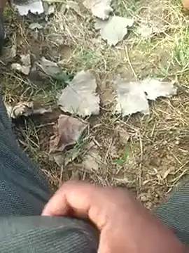 FinableKnee online show from October 6, 2025, 3:08 am