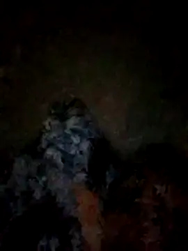 FinableKnee online show from November 10, 2025, 3:06 pm