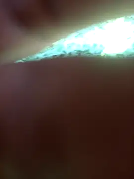 FinableKnee online show from September 24, 2025, 5:03 am