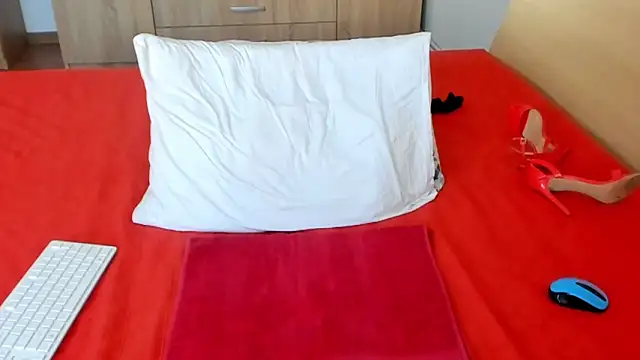 Snapshot of wildalissa chatting on March 4, 2025, 6:50 pm wildalissa online show from March 4, 2025, 6:50 pm