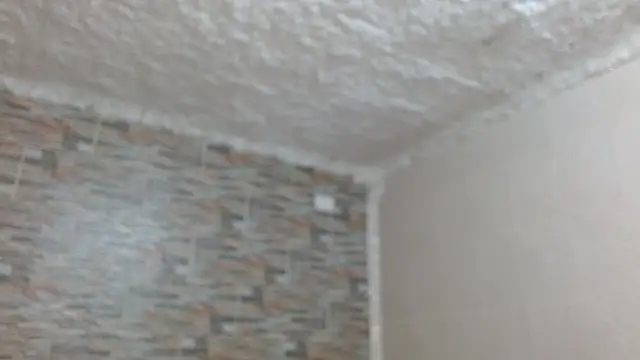 Snapshot of omar_alurba chatting on December 4, 2025, 5:12 pm omar alurba online show from December 4, 2025, 5:12 pm