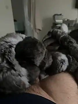 Furdale online show from February 24, 2026, 4:52 pm