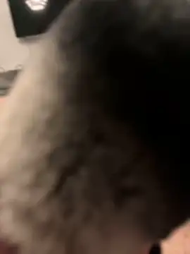 Snapshot of Furdale chatting on January 31, 2025, 7:08 pm Furdale online show from January 31, 2025, 7:08 pm