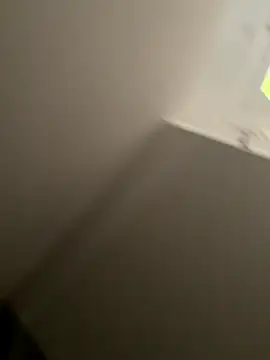 Snapshot of Furdale chatting on September 10, 2025, 4:28 pm Furdale online show from September 10, 2025, 4:28 pm