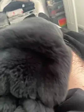 Snapshot of Furdale chatting on March 14, 2025, 11:12 am Furdale online show from March 14, 2025, 11:12 am