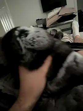 Snapshot of Furdale chatting on October 14, 2025, 3:01 pm Furdale online show from October 14, 2025, 3:01 pm