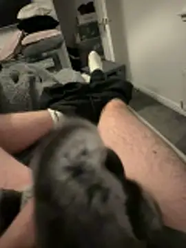 Furdale online show from November 3, 2025, 4:43 pm