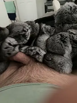 Snapshot of Furdale chatting on September 22, 2025, 4:13 pm Furdale online show from September 22, 2025, 4:13 pm