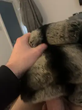 Snapshot of Furdale chatting on February 12, 2025, 2:54 pm Furdale online show from February 12, 2025, 2:54 pm