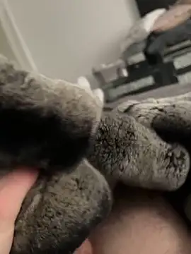 Snapshot of Furdale chatting on February 10, 2025, 1:55 pm Furdale online show from February 10, 2025, 1:55 pm