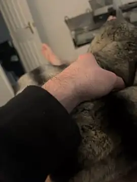 Snapshot of Furdale chatting on February 17, 2025, 3:11 pm Furdale online show from February 17, 2025, 3:11 pm