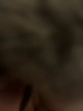 Snapshot of Furdale chatting on January 24, 2025, 6:04 pm Furdale online show from January 24, 2025, 6:04 pm