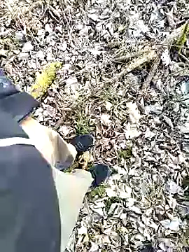 Snapshot of Boring_one chatting on February 3, 2025, 2:55 pm Boring one online show from February 3, 2025, 2:55 pm