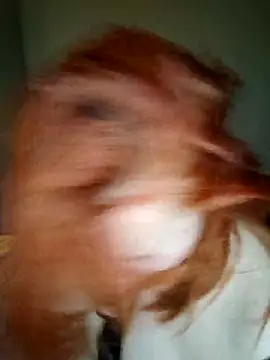 lollipop cat online show from April 16, 2026, 9:39 pm