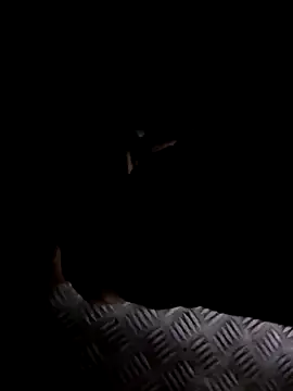 Snapshot of rajlocal chatting on January 6, 2025, 12:57 pm rajlocal online show from January 6, 2025, 12:57 pm