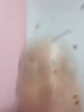 Mpho2021 online show from February 13, 2025, 4:50 pm