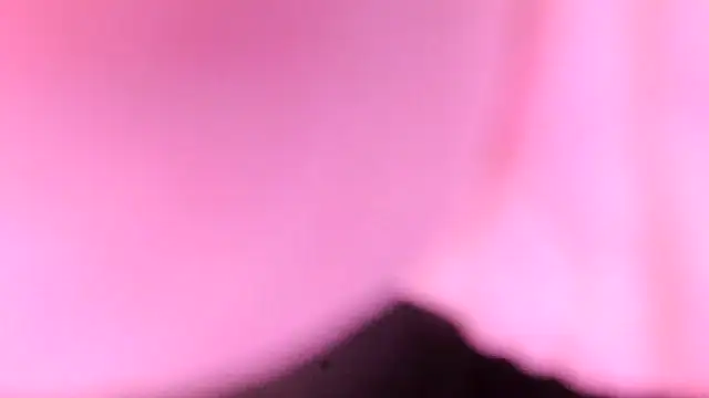 sr4343 online show from February 17, 2026, 10:18 pm