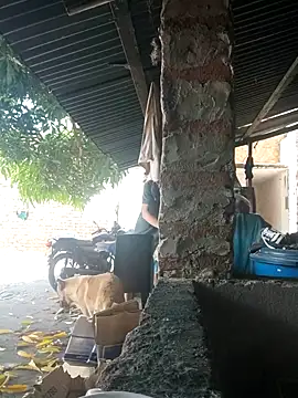 PrivCamZone online show from October 12, 2025, 5:25 pm