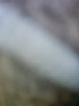 Snapshot of fuckineverett chatting on March 15, 2025, 3:48 pm fuckineverett online show from March 15, 2025, 3:48 pm