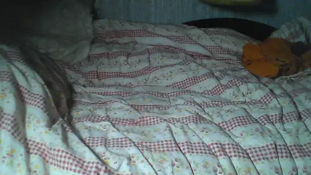 Snapshot of Alma_Evelynne chatting on February 7, 2026, 11:46 pm Alma Evelynne online show from February 7, 2026, 11:46 pm