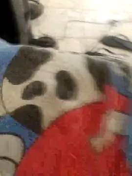 vcsxvbx online show from February 15, 2026, 5:23 pm