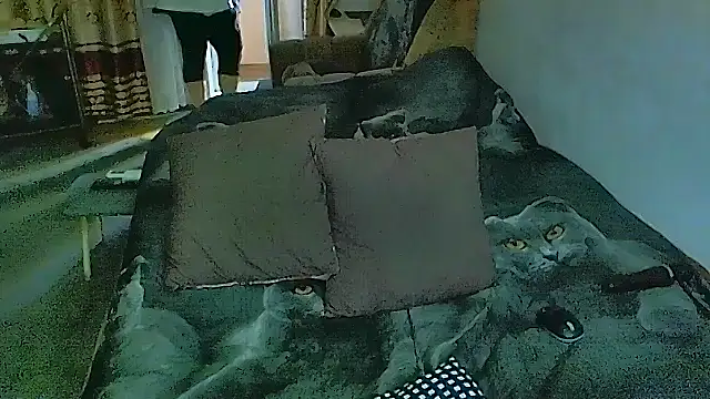 Snapshot of sex2 chatting on November 17, 2025, 7:34 am sex2 online show from November 17, 2025, 7:34 am