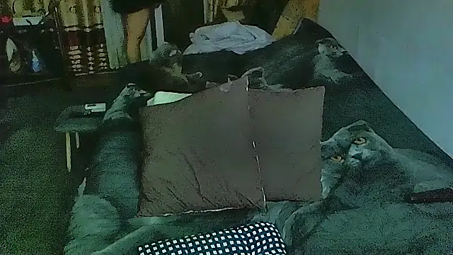 Snapshot of sex2 chatting on December 1, 2025, 10:10 pm sex2 online show from December 1, 2025, 10:10 pm