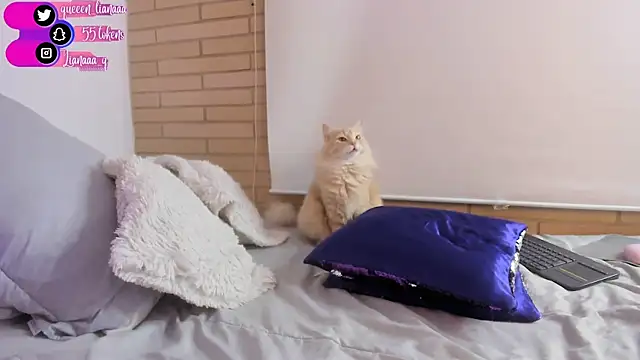 Snapshot of Queen_liana chatting on January 10, 2025, 8:29 am Queen liana online show from January 10, 2025, 8:29 am