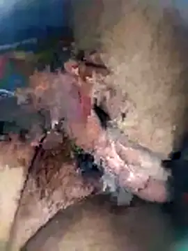 Pitercom online show from December 17, 2025, 12:21 pm