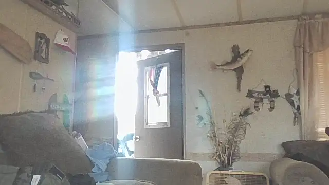 Snapshot of Yankeedave420 chatting on November 19, 2025, 6:08 pm Yankeedave420 online show from November 19, 2025, 6:08 pm