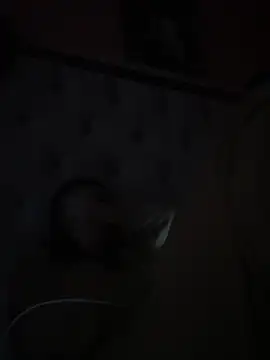 Flossy Vettie online show from January 14, 2026, 3:04 pm