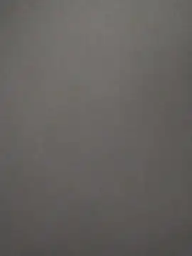 Snapshot of Baumhackel chatting on February 8, 2026, 11:52 am Baumhackel online show from February 8, 2026, 11:52 am