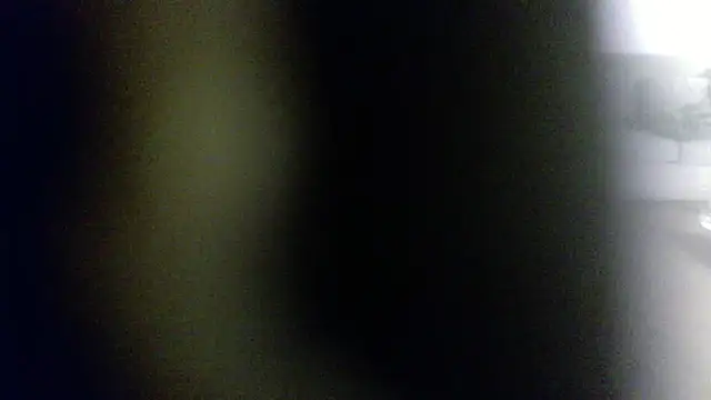 Snapshot of palidin1 chatting on February 1, 2026, 7:50 am palidin1 online show from February 1, 2026, 7:50 am