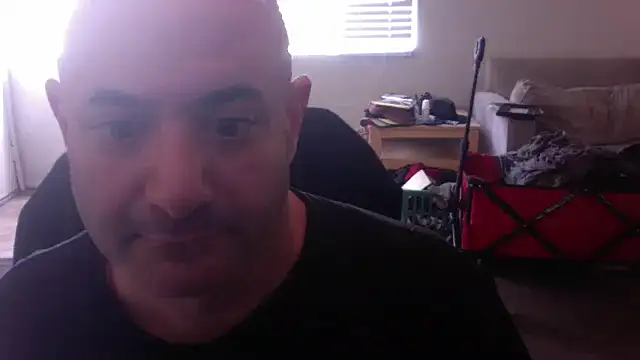 Snapshot of palidin1 chatting on November 24, 2025, 9:37 pm palidin1 online show from November 24, 2025, 9:37 pm