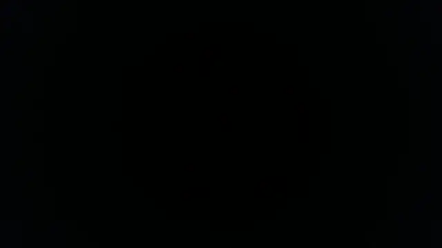 Snapshot of palidin1 chatting on November 26, 2025, 1:16 am palidin1 online show from November 26, 2025, 1:16 am