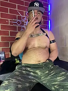 the master foal  online show from February 19, 2026, 12:57 pm