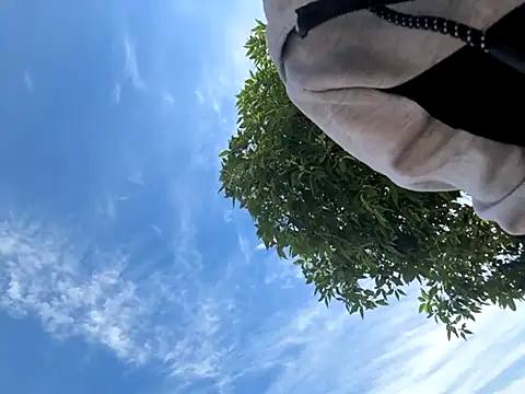 Snapshot of kingdennis6666 chatting on September 17, 2025, 7:27 pm kingdennis6666 online show from September 17, 2025, 7:27 pm